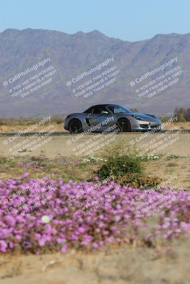 media/Jan-29-2023-PCA San Diego (Sun) [[aa0301ccc2]]/Yellow Group/Session 1 (Turn 15 Bloom)/